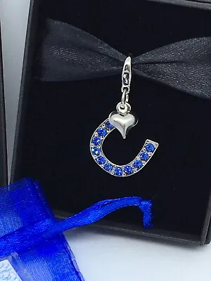 £7.50 • Buy Wedding Gift For The Bride Something Blue Lucky Horseshoe Charm & Sixpence Coin