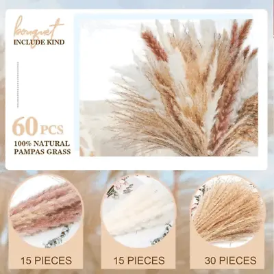 60Pcs Pampas Grass Natural Dried Flowers DIY Feather Grass Bouquet Home Decor UK • £8.91