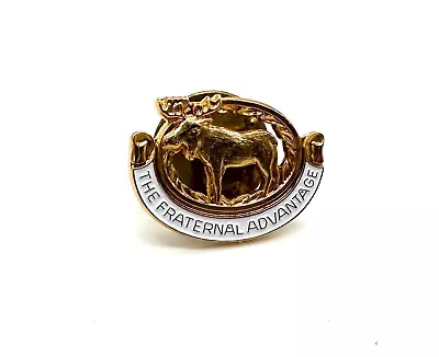 🫎  Moose The Fraternal Advantage Gold/White Lapel Pin .25  X .5  BP3 • $5.01