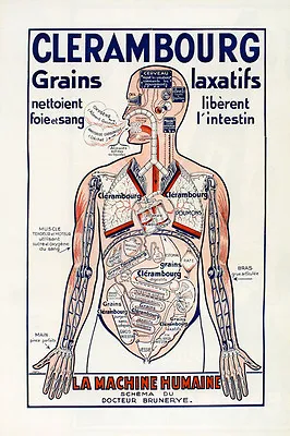 Medical Incredible Human Machine Body France French  Vintage Poster Repo FREE SH • $17.90