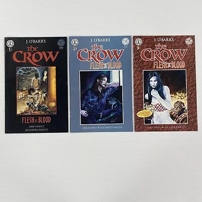 The Crow Flesh And Blood #1-3 1996 FN+ 1st Prints  J. O. Barr Kitchen Sink Comix • $37.89