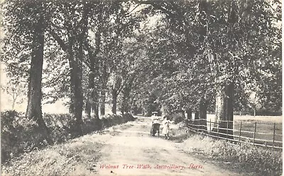 Amwellbury Near Ware. Walnut Tree Walk # 2261 By Charles Martin. • £10