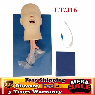 $186 • Buy Airway Management Trainer ET/J16 Intubation Head Manikin Lab Training Manikins 