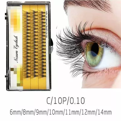 Individual Stand False Eyelashes Cluster 60 Knotted Flares Wispy Lashes 6-16mm • $1.99