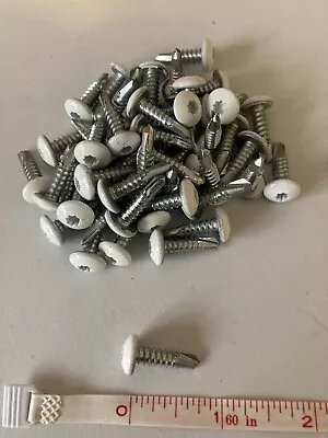 #11-3/4 Inch White Oversize Cargo Express Haulmark Trailer Screws Self Drill-50 • $6.99