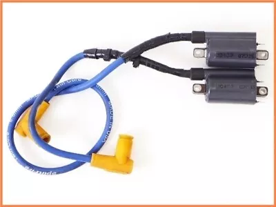 2000 DUCATI MONSTER M900ie Splitfire Plug Cord & Genuine Ignition Coil Yyy • $115.20