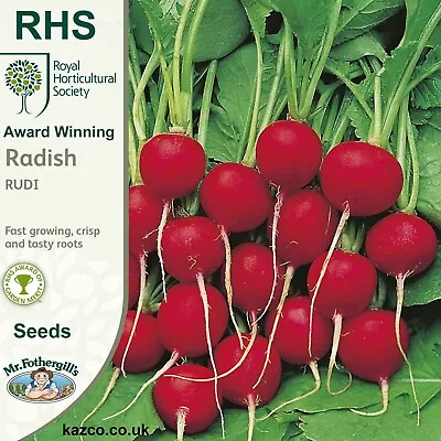 Radish Seeds 'Rudi' By RHS Vegetable Seeds UK Delivery Included • £2.99