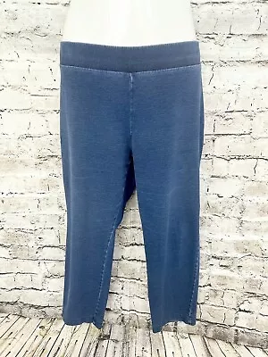 Pure Jill Indigo J Jill Sz Large Petite  Everyday Wash  Knit Tapered Ankle Pants • $26.99