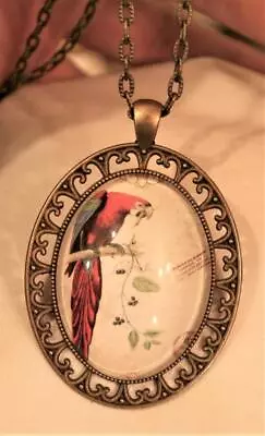 Lacy Open Swirl Rim Red Parrot Macaw On A Branch Cameo Brasstone Necklace • $14.99