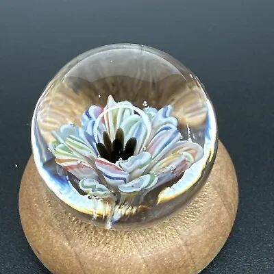 Contemporary Art Glass Marble 1.06  Handmade Colorful Flower Implosion Boro MIB • $50.99