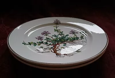 Villeroy & Boch BOTANICA Salad Plates  Thymus Pulegioides W/Roots - Set/2 • $36.95