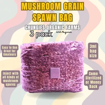 (3x) 3lb Rye Berry Mushroom Substrate - Organic - Sterilized Grain Spawn Bags • $34.95