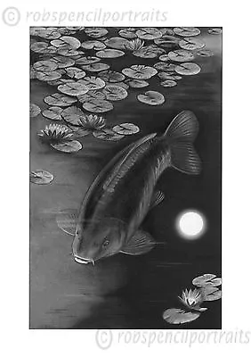 MOONLIGHT MIRROR Carp Fishing Pond Lillies Charcoal Drawing Art Print • £9.99