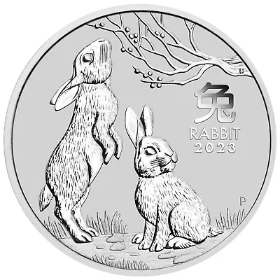 2023 5 Oz Silver Lunar Year Of The Rabbit BU Australian Perth Mint In Cap • $192.99