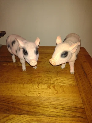 £15 • Buy 2 Resin Pigs 10 Inches X 6 Inches 