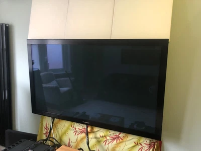 £1100 • Buy Panasonic VX100 Plasma TV - Forerunner To The VX300