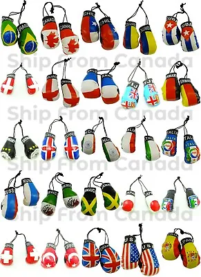 High Quality Country Flag MINI BOXING GLOVES - Rear View Mirror Gloves - New • $5.99
