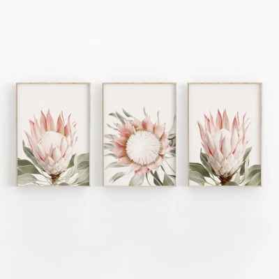 $134.55 • Buy Set Of 3 Protea Photography Wall Fine Art Poster Print. Great Home Decor