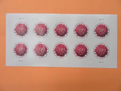 10 USPS 2020 Global Forever Stamps Chrysanthemum - Peel & Stick (1 Sheet Of 10) • $10