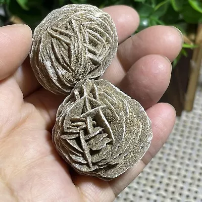 $12.35 • Buy 2pcs Desert Rose Selenite Stone Natural Quartz Crystal Specimen Decor 59g A4