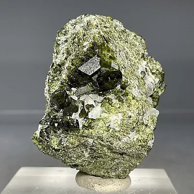 SS Rocks - Epidote With Quartz (Calumet Mine - Chaffee Co Colorado) 50g • $8.99