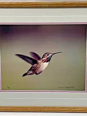 Thomas Mangelsen Male Calliope Hummingbird Bird Limited Edition Photo Print VTG • $250