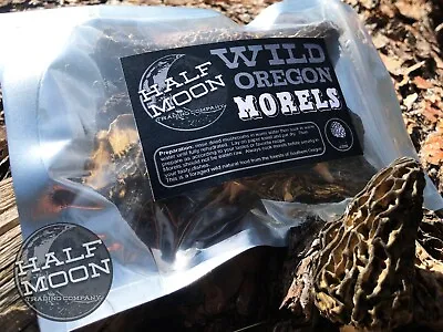 Dried Wild Morel Mushrooms From Oregon - 1 Oz. Harvested Spring 2022 • $18.50