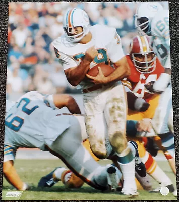 LARRY CSONKA 1973 Miami Dolphins Classic Premium Photofile 20x24 POSTER Print • $33.99