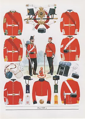 Vintage British Uniform Print 1856 Infantry Of The Line NCO's & Privates • £27