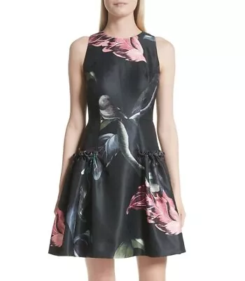 $225 • Buy Women's Ted Baker London Sarahe Floral Fit & Flare Dress, Size 0 - Black 151999