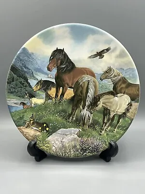 Davenport Pottery Collectors Plate 1990 Highland Ponies. Limited Edition Boxed • £10