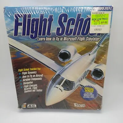 Flight School Flight Simulator (PC CD-ROM 1996) Win 95 Wizard Works Big Box NEW • $19.99