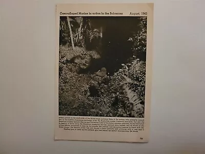 Camouflaged Marine In Action Solomon Islands 1942 World War 2 WW2 Picture Sheet • $16