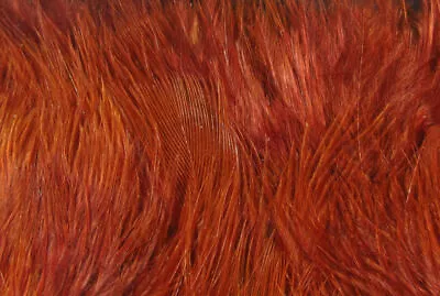 Hareline Wooly Bugger Marabou - Rusty Brown • $7.50