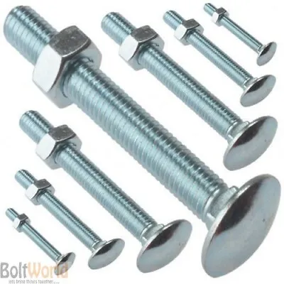 M12 / 12mm COACH BOLTS CUP SQUARE CARRIAGE BOLT SCREWS WITH HEXAGON NUTS ZINC • £93.50