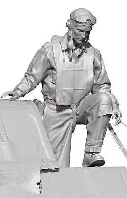 Legend 1/32 US Navy Pilot WWII Boarding Entering Cockpit [Resin Figure] LF3230 • $24.93