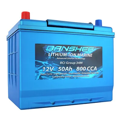 Deep Cycle Lithium-Ion True Marine Dual Terminal Battery With Emergency Start • $599.88