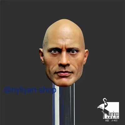 1/6 Male Dwayne Johnson Head Sculpt Carved Model For 12 PH TBL Figure Body • $37.59