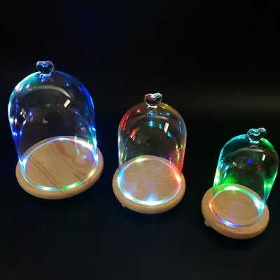 £9.95 • Buy Large Display Glass Cloche With LED Lights Base Cloche Dome Bell Jar Stand Vases