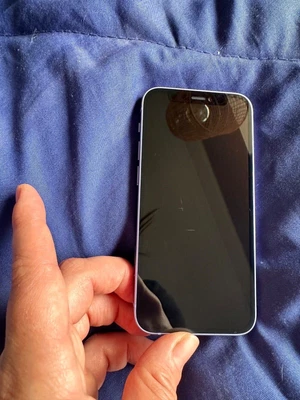 $450 • Buy Apple IPhone 12 Mini - 64GB - Purple (Unlocked)
