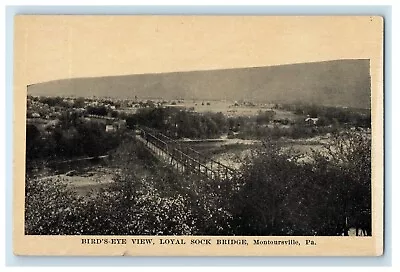 C1910's Birds Eye View Loyal Sock Bridge Montoursville PA Antique Postcard • $14.98