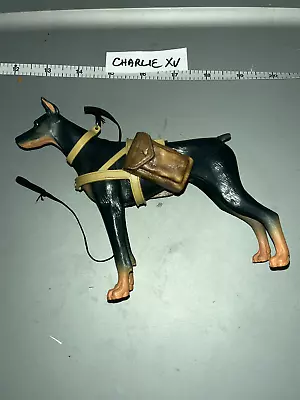 1/6 Scale WWII US Marine Doberman Dog • $22