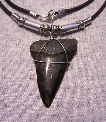 Mako Shark Tooth Necklace 1 7/8  Shark Teeth  Fossil Jaw Megalodon Diver Huge! • $26