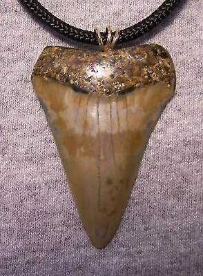 Mako Shark Tooth Necklace Teeth Fossil 2 1/8  Tiger Eye Inlay Megalodon Diver • $49