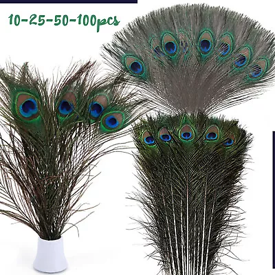 LONG 10-100pcs Natural Peacock Feathers With Eyes Home Decoration Bouquet • £119.69