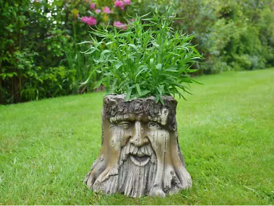 Tree Shrub Bush Flower Garden Planter Pot Tub • £27.99