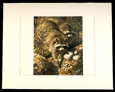 Carl Brenders  Waterside Encounter  11 X 14 Matted Raccoon Wildlife Print • $25.99