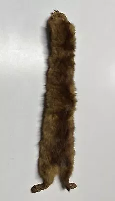 Full Body Mink Pelt Without Tail See Description And Pics • $9.99