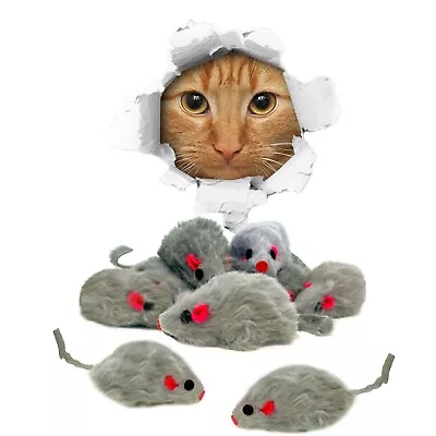 Real Rabbit Fur Cat Toy Gray Rattle Mouse 10 Pack • $10.99