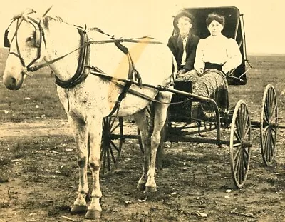 C1910 RPPC Real Photo Postcard Young Couple Horse Drawn Surrey Blanket Date Card • $12.50